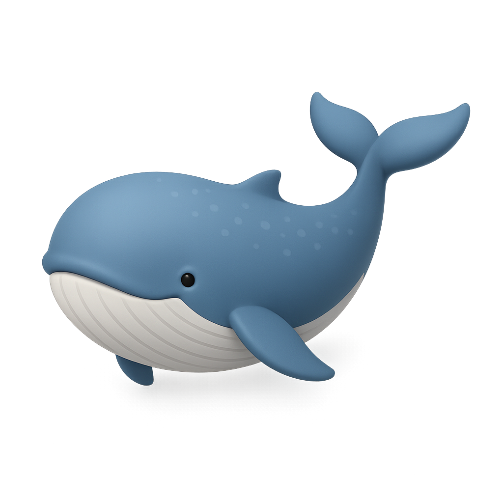 Whale Wacthing